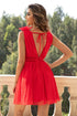 'Vania' Sleeveless Mesh Dress - Celes Fashion